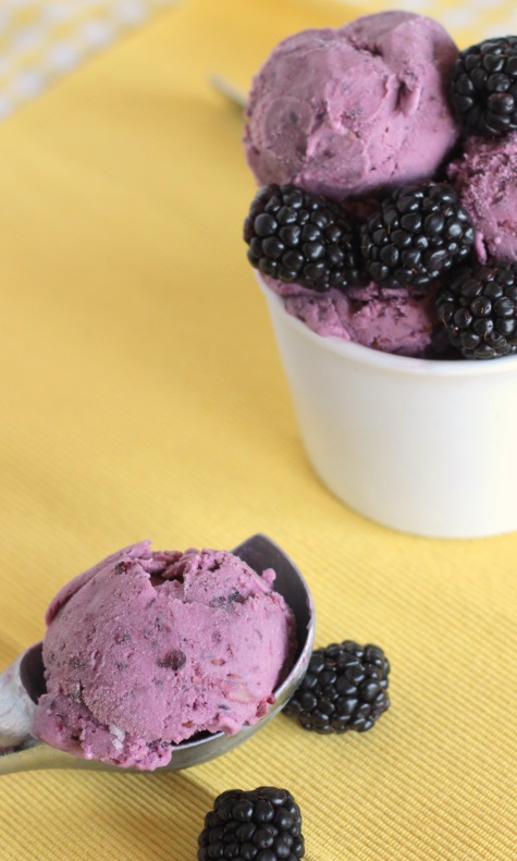 fresh blackberry ice cream recipe 1