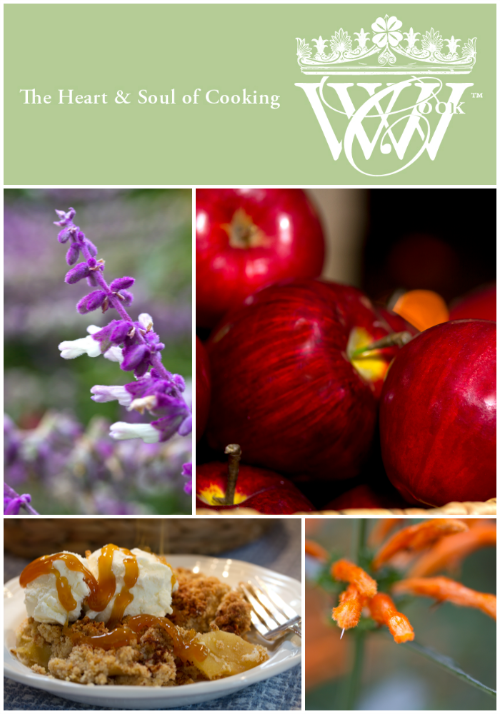 laurie rubin in where women cook