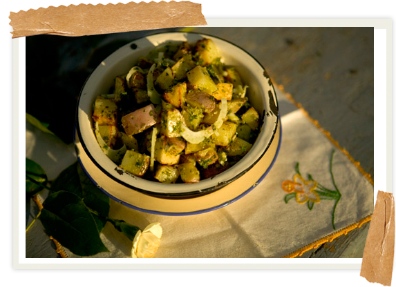 recipe-maryjane-fennel-salad